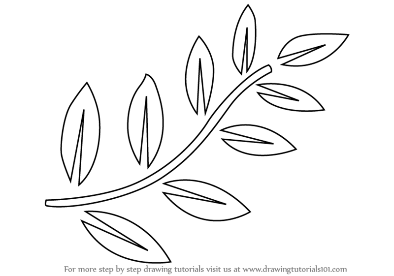 Learn How to Draw Fern Leaves (Plants) Step by Step : Drawing ...