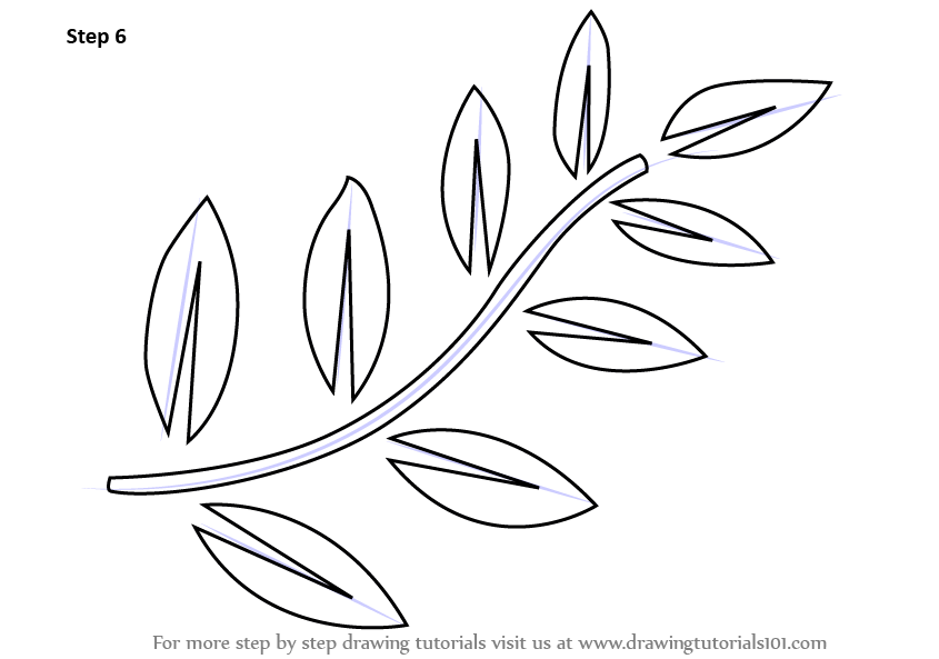 Learn How to Draw Fern Leaves (Plants) Step by Step : Drawing Tutorials