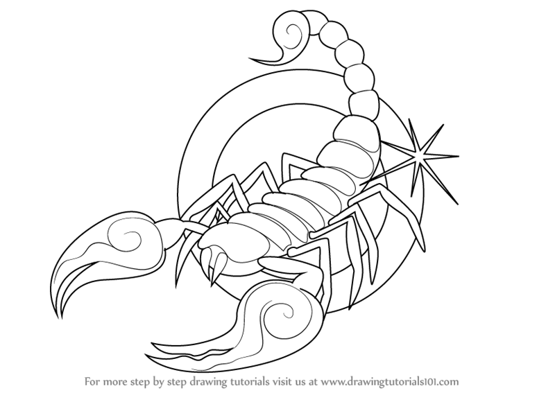 Scorpion Coloring Page  Easy Drawing Guides