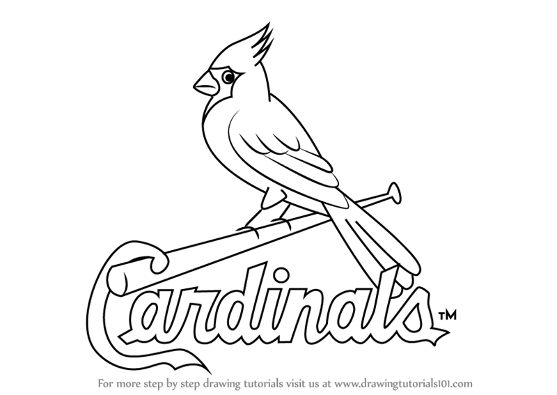 Learn How to Draw St. Louis Cardinals Logo (MLB) Step by Step : Drawing Tutorials