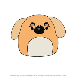 How to Draw Bobzi the Pekingese from Squishmallows