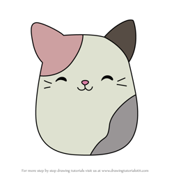 How to Draw Karina the Cat from Squishmallows