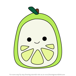 How to Draw Leeland the Lime from Squishmallows