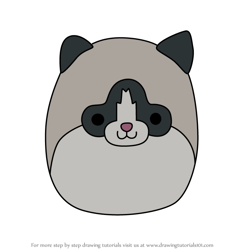 How to Draw Nancy the Ragdoll Cat from Squishmallows