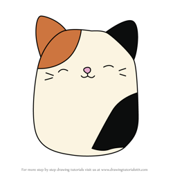 How to Draw Oliver the Cat from Squishmallows