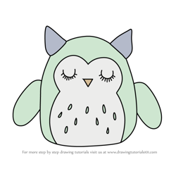 How to Draw Petrina the Owl from Squishmallows