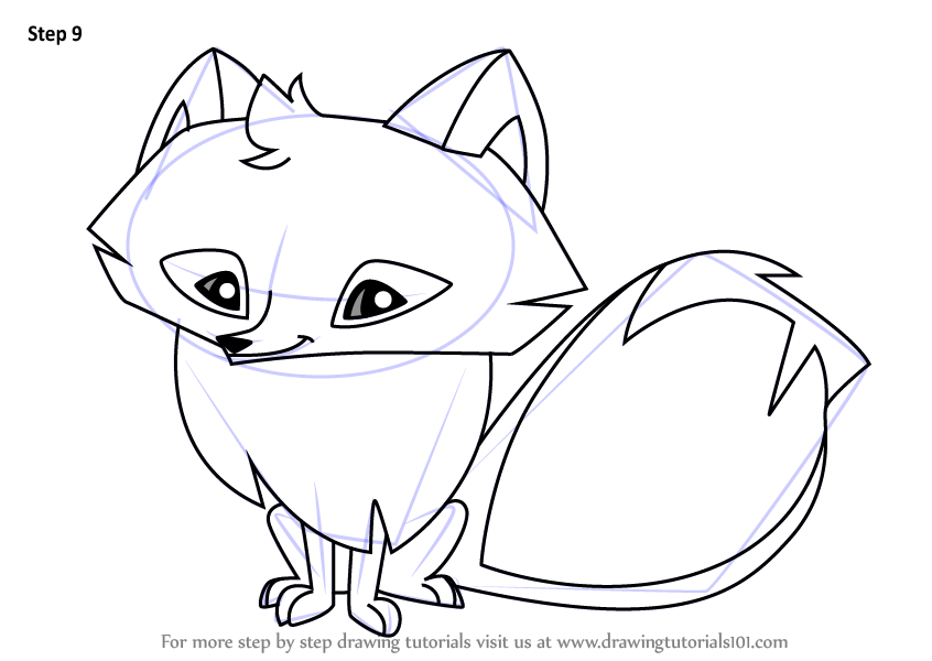 Learn How To Draw Arctic Fox From Animal Jam Animal Jam