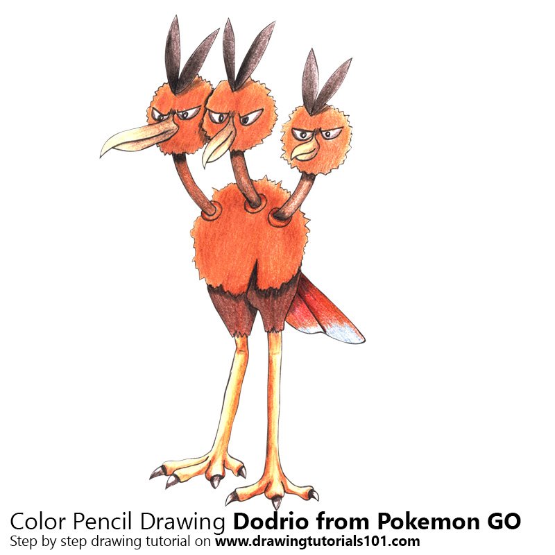 How to Draw Dodrio from Pokemon GO by Color Pencils