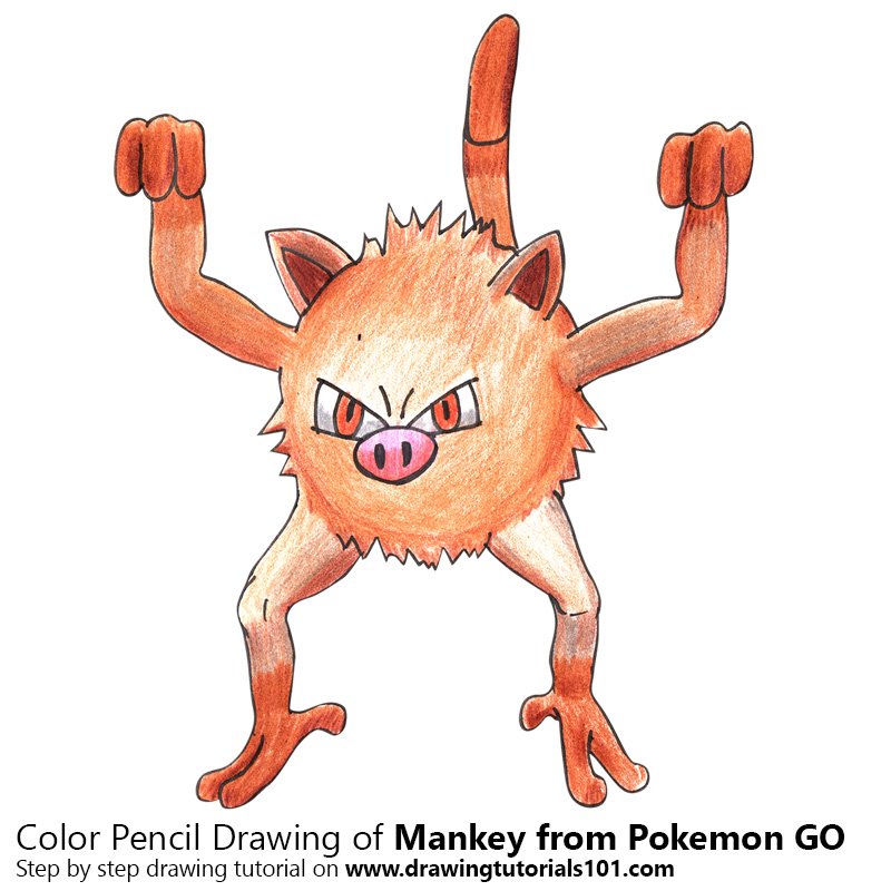 How to Draw Mankey from Pokemon GO by Color Pencils