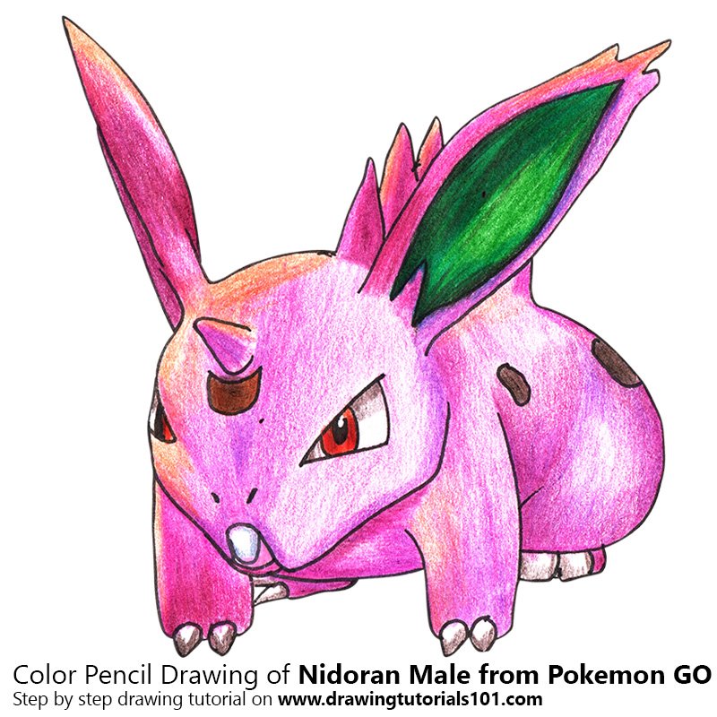How to Draw Nidoran Male from Pokemon GO by Color Pencils