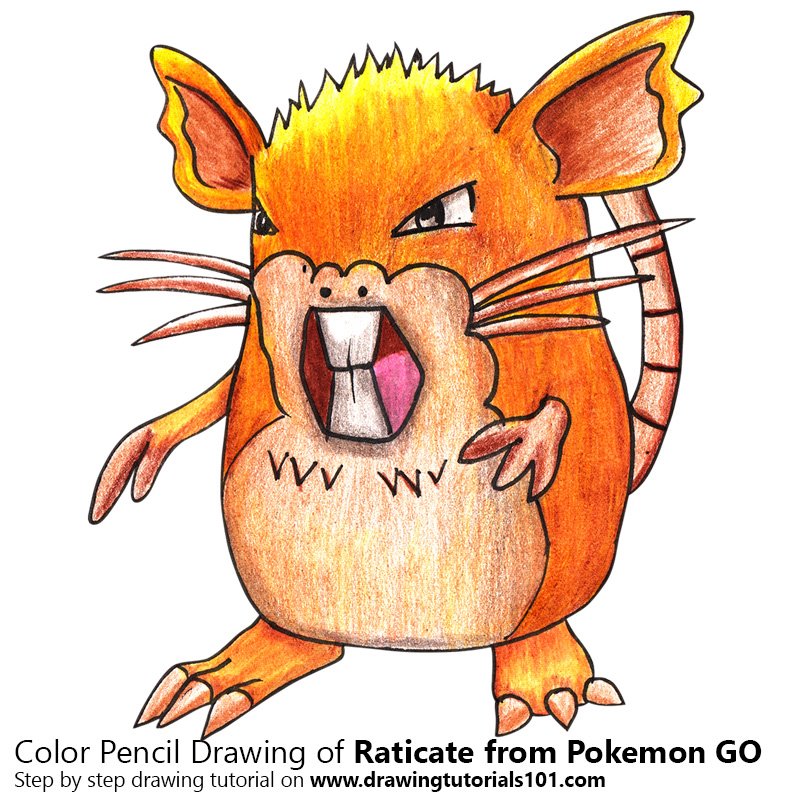How to Draw Raticate from Pokemon GO by Color Pencils