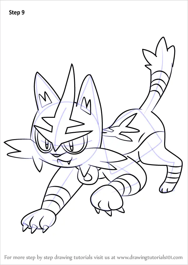 Learn How to Draw Torracat  from Pokemon  Sun and Moon 
